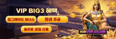 VIP 전용 리워드 프로그램 promotion banner